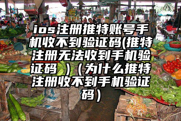 ios注册推特账号手机收不到验证码(推特注册无法收到手机验证码 )（为什么推特注册收不到手机验证码）