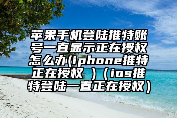 苹果手机登陆推特账号一直显示正在授权怎么办(iphone推特正在授权 )（ios推特登陆一直正在授权）