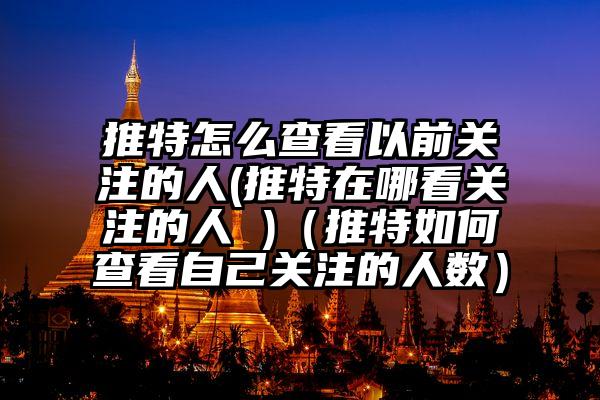 推特怎么查看以前关注的人(推特在哪看关注的人 )（推特如何查看自己关注的人数）
