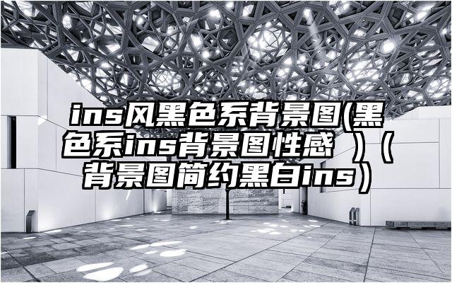 ins风黑色系背景图(黑色系ins背景图性感 )（背景图简约黑白ins）