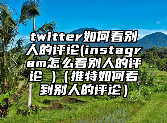 twitter如何看别人的评论(instagram怎么看别人的评论 )（推特如何看到别人的评论）