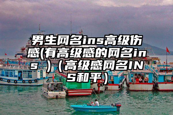 男生网名ins高级伤感(有高级感的网名ins )（高级感网名INS和平）