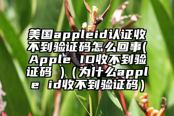 美国appleid认证收不到验证码怎么回事(Apple ID收不到验证码 )（为什么apple id收不到验证码）