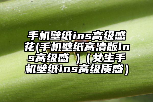 手机壁纸ins高级感花(手机壁纸高清版ins高级感 )（女生手机壁纸ins高级质感）