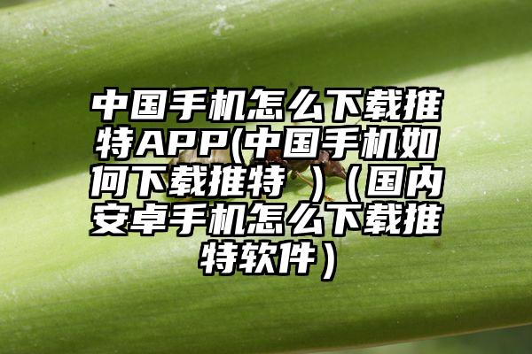 中国手机怎么下载推特APP(中国手机如何下载推特 )(国内安卓手机怎么下载推特软件)