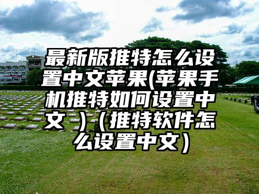 最新版推特怎么设置中文苹果(苹果手机推特如何设置中文 )（推特软件怎么设置中文）
