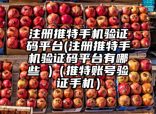 注册推特手机验证码平台(注册推特手机验证码平台有哪些 )（推特账号验证手机）