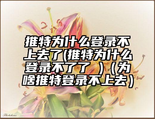 推特为什么登录不上去了(推特为什么登录不了了 )（为啥推特登录不上去）