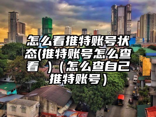 怎么看推特账号状态(推特账号怎么查看 )（怎么查自己推特账号）