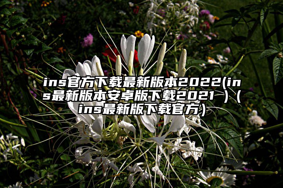 ins官方下载最新版本2022(ins最新版本安卓版下载2021 )（ins最新版下载官方）