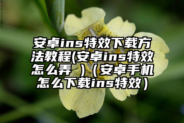 安卓ins特效下载方法教程(安卓ins特效怎么弄 )（安卓手机怎么下载ins特效）