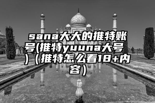 sana大大的推特账号(推特yuuna大号 )（推特怎么看18+内容）