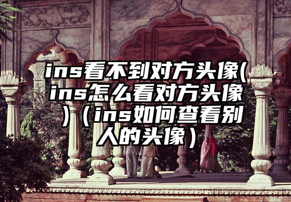 ins看不到对方头像(ins怎么看对方头像 )（ins如何查看别人的头像）
