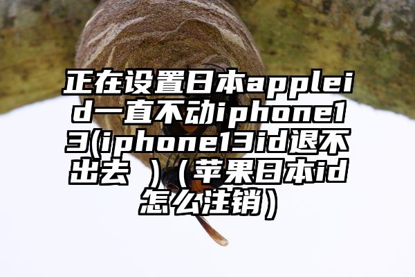 正在设置日本appleid一直不动iphone13(iphone13id退不出去 )（苹果日本id怎么注销）