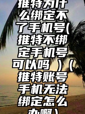推特为什么绑定不了手机号(推特不绑定手机号可以吗 )（推特账号手机无法绑定怎么办啊）