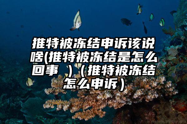 推特被冻结申诉该说啥(推特被冻结是怎么回事 )（推特被冻结怎么申诉）