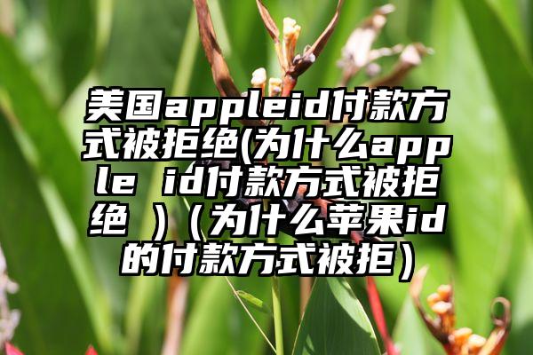 美国appleid付款方式被拒绝(为什么apple id付款方式被拒绝 )（为什么苹果id的付款方式被拒）