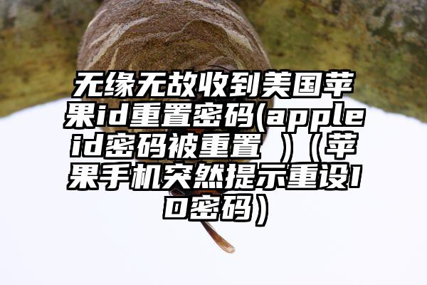 无缘无故收到美国苹果id重置密码(appleid密码被重置 )（苹果手机突然提示重设ID密码）