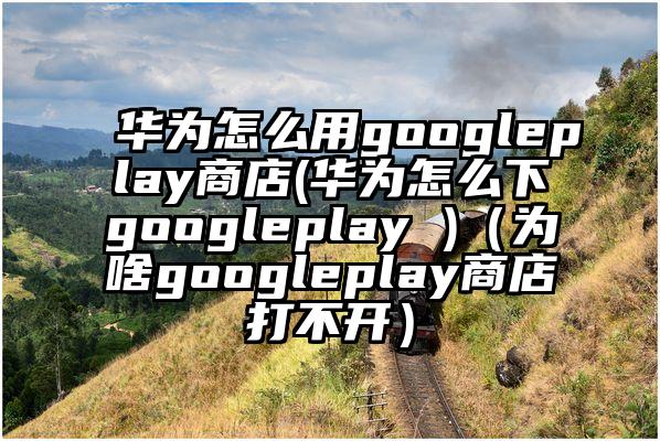 华为怎么用googleplay商店(华为怎么下googleplay )（为啥googleplay商店打不开）