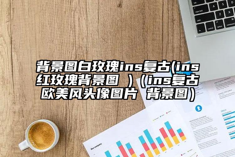 背景图白玫瑰ins复古(ins红玫瑰背景图 )（ins复古欧美风头像图片 背景图）