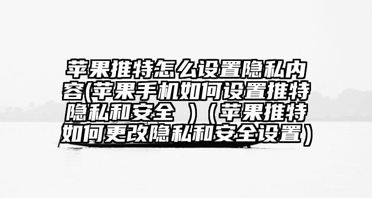 苹果推特怎么设置隐私内容(苹果手机如何设置推特隐私和安全 )（苹果推特如何更改隐私和安全设置）