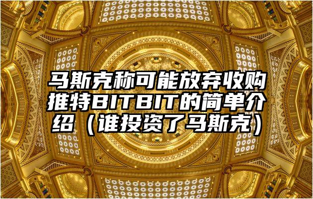 马斯克称可能放弃收购推特BITBIT的简单介绍（谁投资了马斯克）