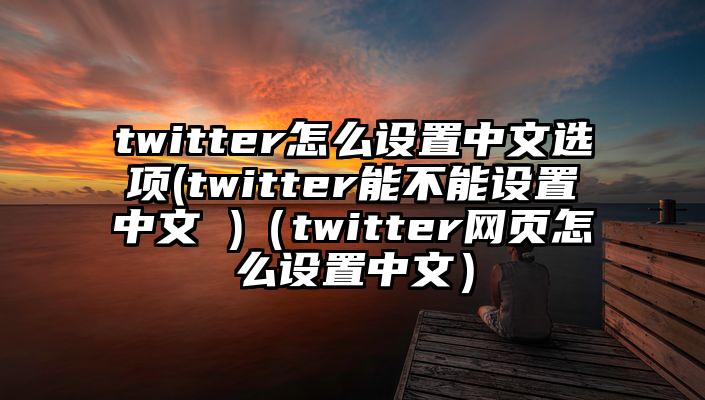 twitter怎么设置中文选项(twitter能不能设置中文 )（twitter网页怎么设置中文）