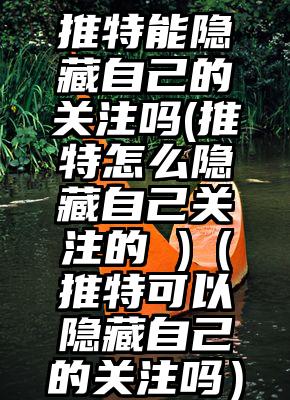 推特能隐藏自己的关注吗(推特怎么隐藏自己关注的 )(推特可以隐藏自己的关注吗)