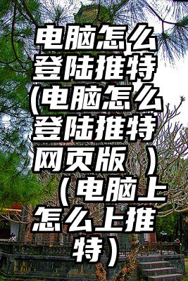 电脑怎么登陆推特(电脑怎么登陆推特网页版 )（电脑上怎么上推特）
