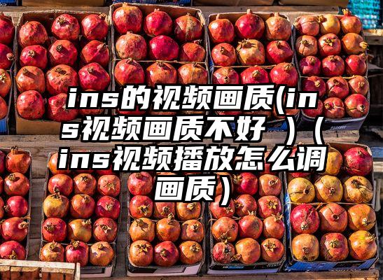 ins的视频画质(ins视频画质不好 )（ins视频播放怎么调画质）