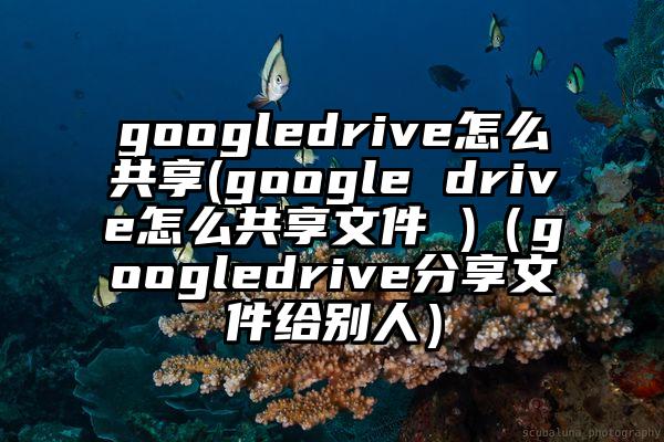 googledrive怎么共享(google drive怎么共享文件 )（googledrive分享文件给别人）