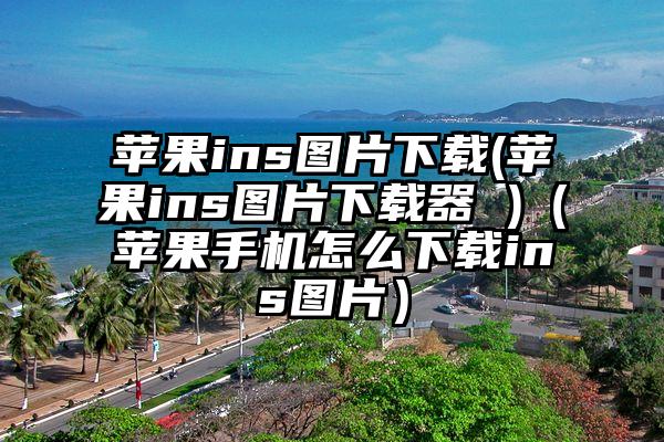 苹果ins图片下载(苹果ins图片下载器 )(苹果手机怎么下载ins图片)