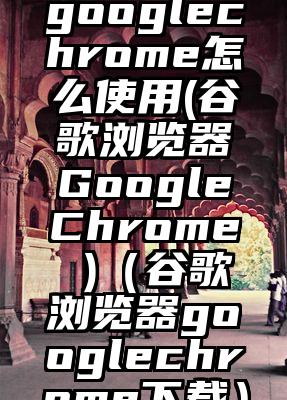 googlechrome怎么使用(谷歌浏览器GoogleChrome )（谷歌浏览器googlechrome下载）