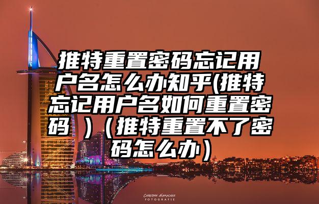 推特重置密码忘记用户名怎么办知乎(推特忘记用户名如何重置密码 )（推特重置不了密码怎么办）