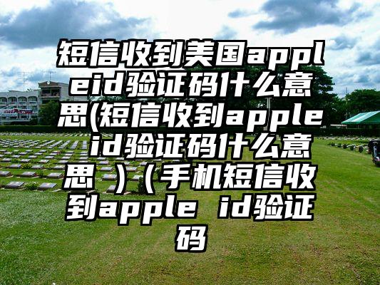 短信收到美国appleid验证码什么意思(短信收到apple id验证码什么意思 )（手机短信收到apple id验证码
