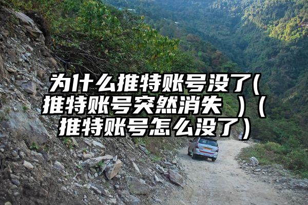 为什么推特账号没了(推特账号突然消失 )（推特账号怎么没了）