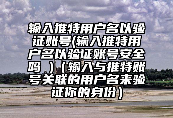 输入推特用户名以验证账号(输入推特用户名以验证账号安全吗 )（输入与推特账号关联的用户名来验证你的身份）