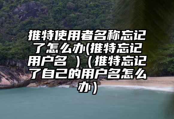 推特使用者名称忘记了怎么办(推特忘记用户名 )（推特忘记了自己的用户名怎么办）