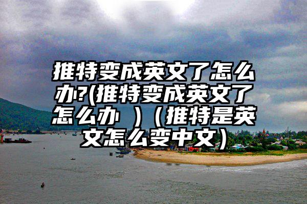 推特变成英文了怎么办?(推特变成英文了怎么办 )（推特是英文怎么变中文）