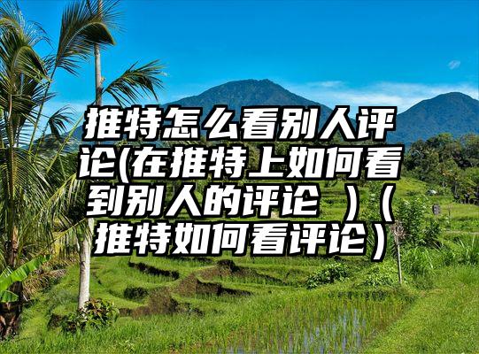 推特怎么看别人评论(在推特上如何看到别人的评论 )（推特如何看评论）