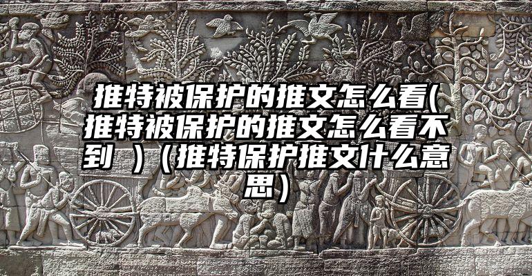 推特被保护的推文怎么看(推特被保护的推文怎么看不到 )（推特保护推文什么意思）
