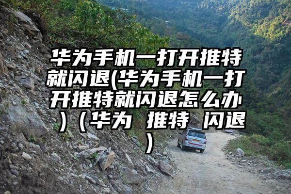 华为手机一打开推特就闪退(华为手机一打开推特就闪退怎么办 )（华为 推特 闪退）