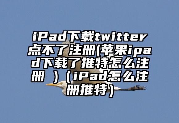 iPad下载twitter点不了注册(苹果ipad下载了推特怎么注册 )(iPad怎么注册推特)