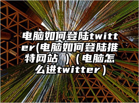 电脑如何登陆twitter(电脑如何登陆推特网站 )（电脑怎么进twitter）