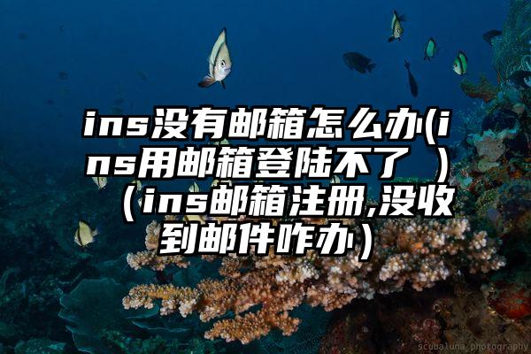 ins没有邮箱怎么办(ins用邮箱登陆不了 )（ins邮箱注册,没收到邮件咋办）