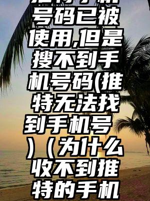 推特手机号码已被使用,但是搜不到手机号码(推特无法找到手机号 )（为什么收不到推特的手机验证码）