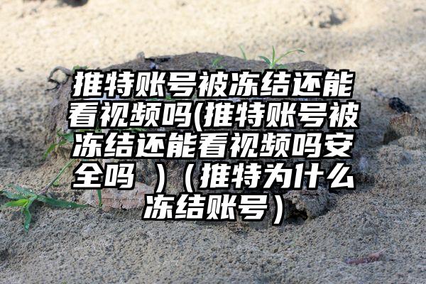 推特账号被冻结还能看视频吗(推特账号被冻结还能看视频吗安全吗 )(推特为什么冻结账号)