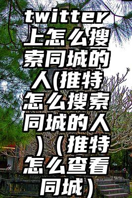 twitter上怎么搜索同城的人(推特怎么搜索同城的人 )(推特怎么查看同城)