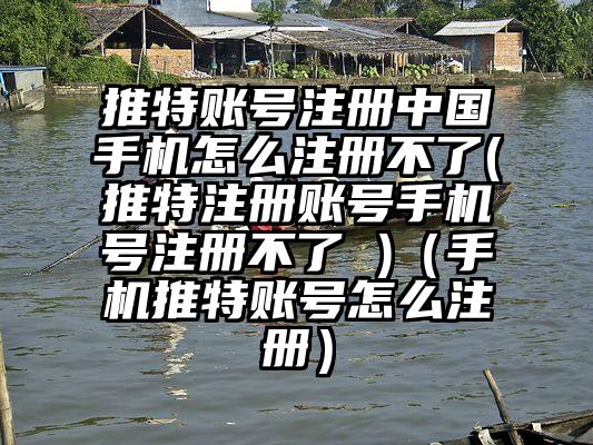 推特账号注册中国手机怎么注册不了(推特注册账号手机号注册不了 )（手机推特账号怎么注册）