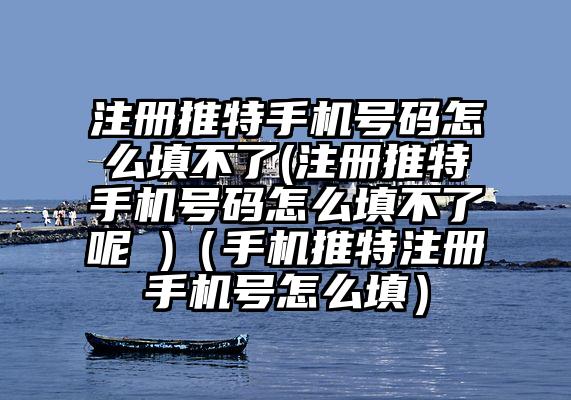 注册推特手机号码怎么填不了(注册推特手机号码怎么填不了呢 )(手机推特注册手机号怎么填)